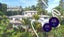 665 South Titirangi Road, Titirangi, Auckland - Carousel 1