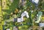 163B Great North Road, Otamatea, Whanganui - Carousel 23