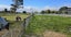 102 Putiki Drive, Putiki, Whanganui - Carousel 13