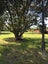 4 Wahanui Walk, Ruakaka - Carousel 12