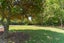 127 Hingaia Road, Karaka, Papakura - Carousel 29