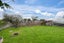 282 Princes Street, Strathern, Invercargill - Carousel 32