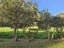 281 Riverhead Road, Riverhead, Riverhead - Carousel 12