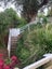 119 Seaview Road, Remuera, Auckland - Carousel 2
