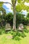 205 Heale Street, Thames, Thames - Carousel 14