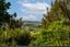 259 School Road, Waimauku, Waimauku - Carousel 19