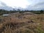 1022 Fairdown Road, Fairdown, Westport - Carousel 5