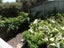 59 Tiri Tiri Road, Birkdale, Auckland - Carousel 9
