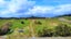 1344 State Highway 12, Oue, Kaikohe - Carousel 1