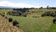 200 Garfield Road, Norsewood, Tararua, Manawatu / Whanganui - Carousel 7