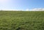 671 Cornwall Road, East Taratahi, Carterton - Carousel 4