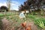 16 Waipuna Road, Waerenga - Carousel 8