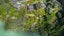 1695 Wyuna Bay Road, Coromandel, Thames-Coromandel, Waikato - Carousel 3