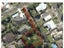 18 Lincoln Terrace, Hokowhitu, Palmerston North - Carousel 7
