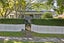 12 Parramatta Place, Botany Downs, Auckland - Carousel 4
