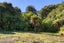 0 Kaiuma Bay, Kaiuma Bay, Havelock - Carousel 6