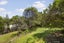 31 Sydenham Street, Northland, Wellington - Carousel 13