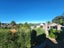 136C Paritai Drive, Orakei, Auckland - Carousel 32