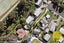 12 Dennis Road, Papatoetoe, Auckland - Carousel 9