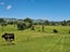 208 McQuoid Road, Preece Point, Coromandel - Carousel 11