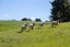 91 Chester Park Drive, West Taratahi, Carterton - Carousel 28