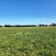 0 Tripp Settlement Road, Orari Bridge, Geraldine - Carousel 4