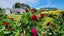 1199 Egmont Road, Egmont Village, New Plymouth - Carousel 22