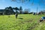 290 Henderson Valley Road, Henderson Valley, Auckland - Carousel 1