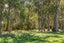 357 Kahutara Road, KAHUTARA - Carousel 2