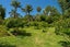 189 Waikino Road, Karetu, Kawakawa - Carousel 38