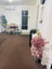51 Pembroke Road, Northland, Wellington, Wellington - Carousel 2