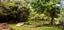 10 MacPherson Street, Meadowbank, Auckland - Carousel 3