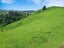75A Hikumutu Road, Taumarunui - Carousel 18