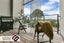 203/45 Union Street, Auckland Central, Auckland - Carousel 2