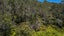 18B Grierson Close, Hahei, Whitianga - Carousel 28