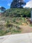 5 Livingstone Street, BROOKLYN 6021, WELLINGTON - Carousel 3