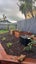 16A Hall Place, Foxton Beach, Foxton - Carousel 5