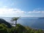 29 Rama Crescent, Khandallah, Wellington - Carousel 25