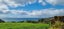 65 Bearing Parade, Long Bay, Auckland - Carousel 26