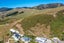 68 Davies Drive, Atawhai, Nelson - Carousel 5