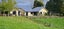 311 Croydon Road, Midhirst, Stratford - Carousel 15