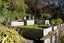 36 Cardigan Street, North East Valley, Dunedin - Carousel 22