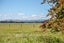 357 Kahutara Road, KAHUTARA - Carousel 7