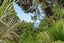 2A Opou Road, Titirangi, Auckland - Carousel 19