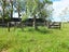 65 Glue Pot Road, Oropi, Tauranga - Carousel 29