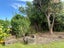 58 Poole Street, Motueka, Motueka - Carousel 12