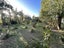 224 Agnew Road, St Andrews - Carousel 17