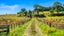 112 Kern Road, Ramarama, Drury - Carousel 11