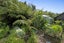 525 Kaipikari Road Upper, Urenui, Urenui - Carousel 40