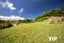 9 Dominion Park Street, Johnsonville, Wellington - Carousel 20